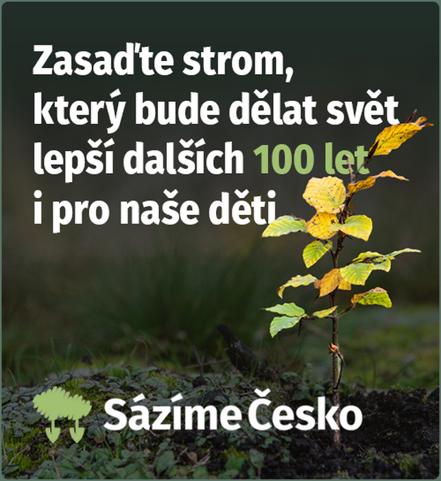 Sázíme Česko a AXIOM TECH 