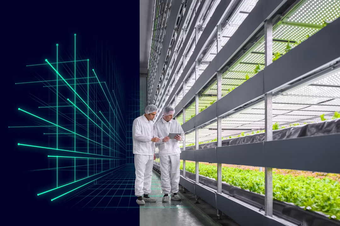 Digitální dvojče pomáhá Nasekomo navrhnout továrnu na produkci hmyzího proteinu Digitální dvojče pomáhá Nasekomo navrhnout továrnu na produkci hmyzího proteinu